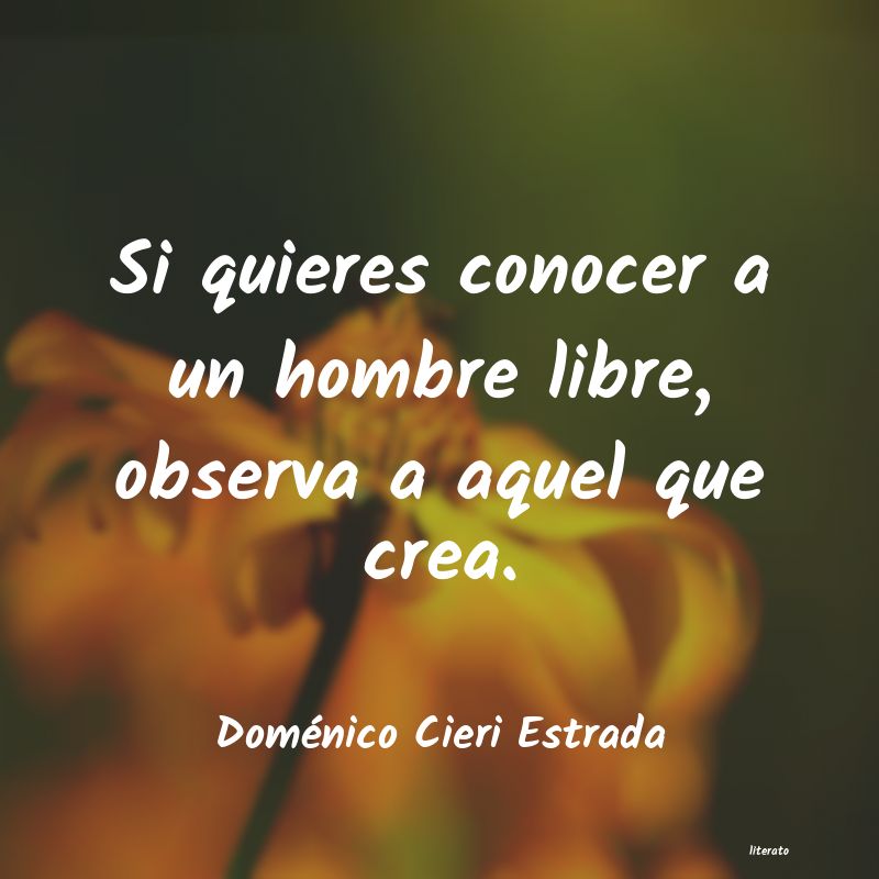 Frases de Doménico Cieri Estrada