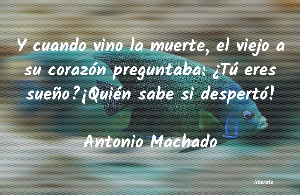 Frases de Antonio Machado