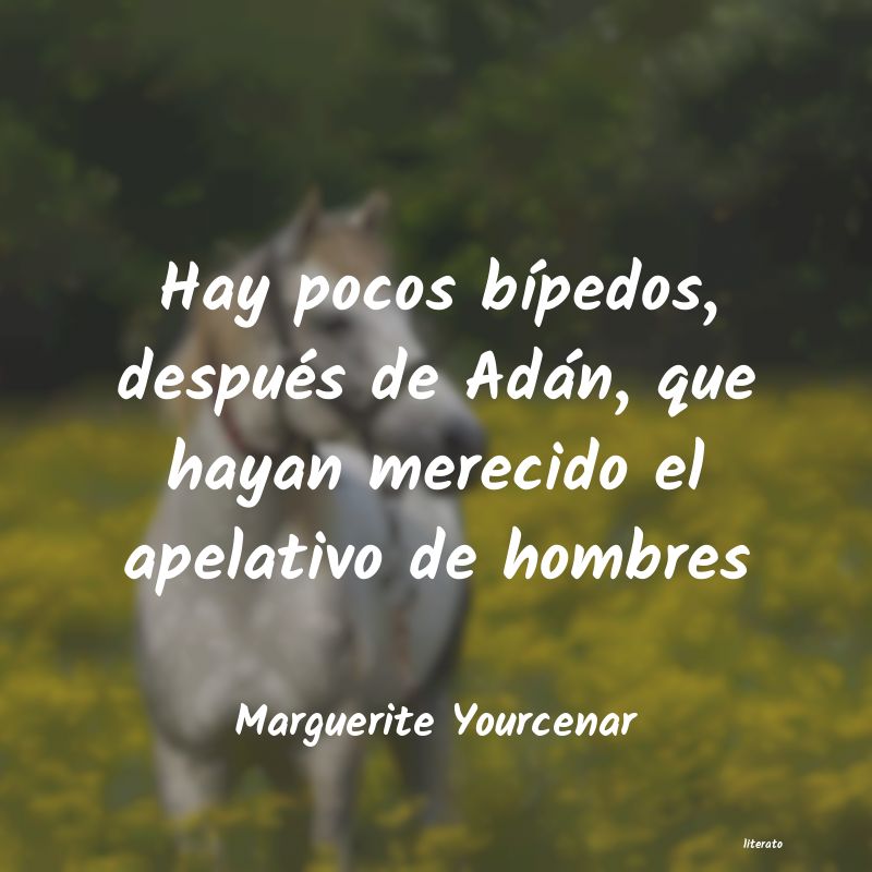 Frases de Marguerite Yourcenar