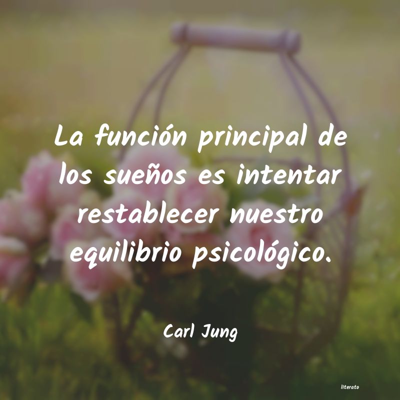 carl jung sentido