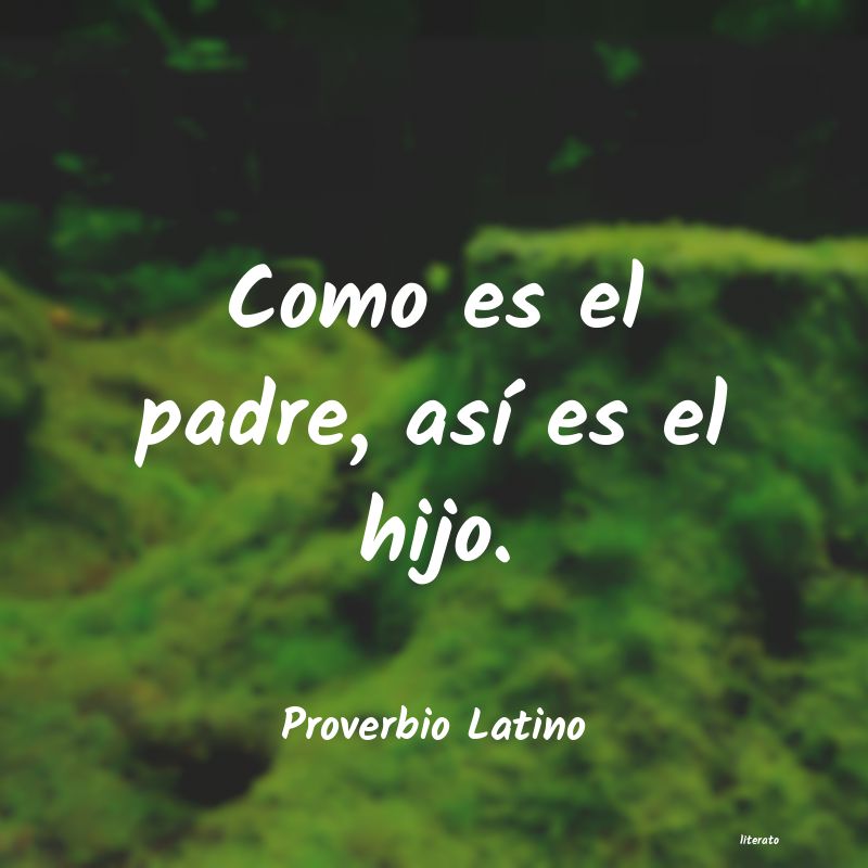 Frases de Proverbio Latino