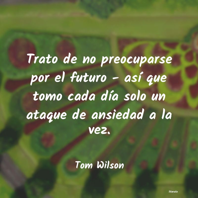 Frases de Tom Wilson