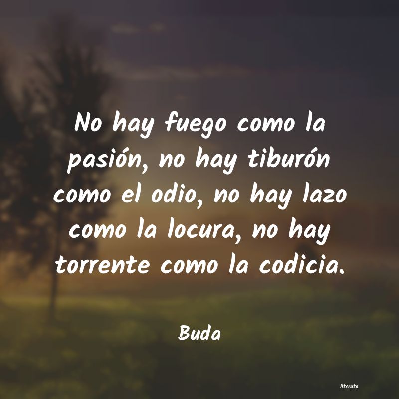 Frases de Buda