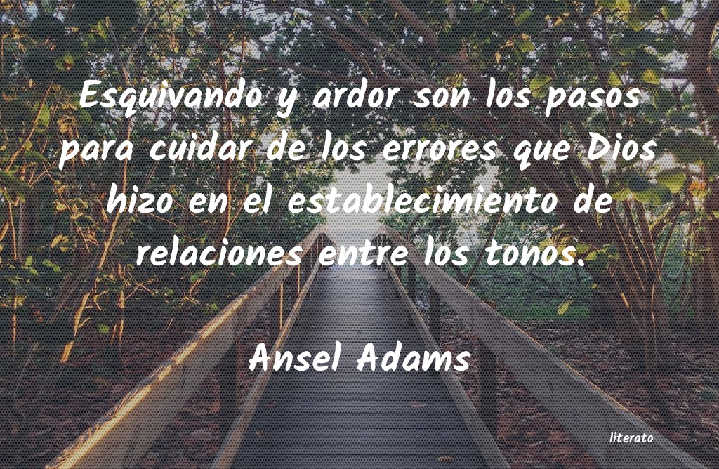 frases de Ansel Adams