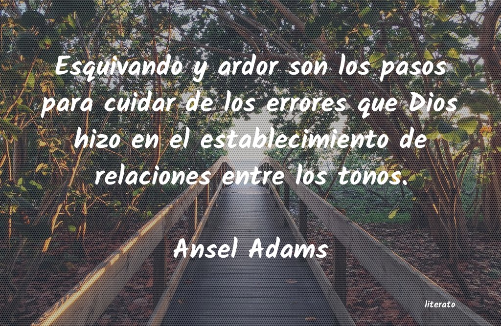 Frases de Ansel Adams