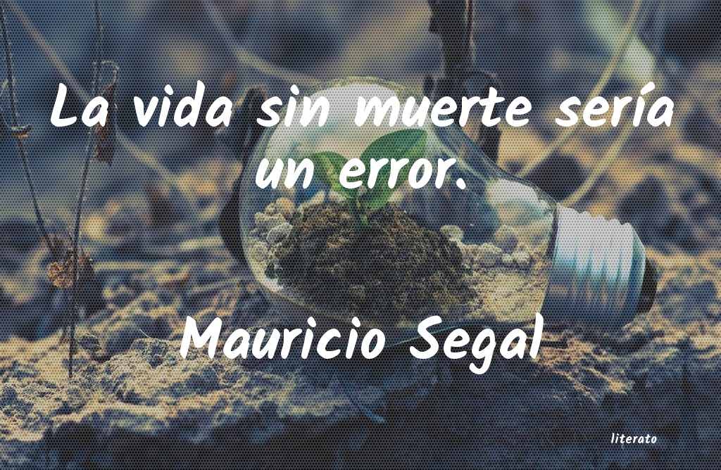 Frases de Mauricio Segal