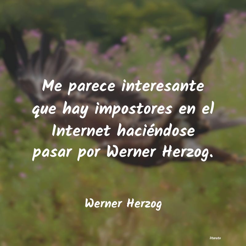 Frases de Werner Herzog