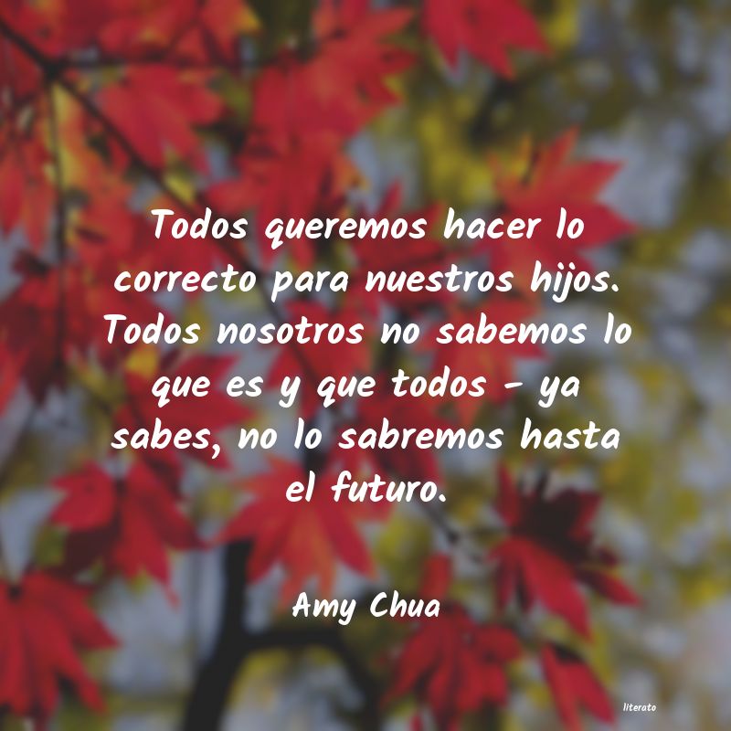 Frases de Amy Chua