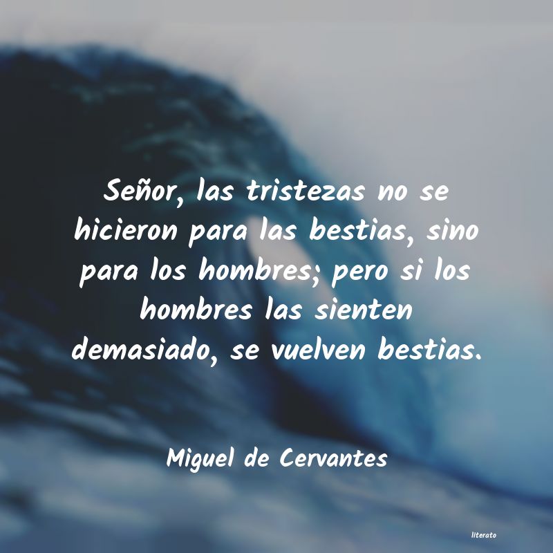 Frases de Miguel de Cervantes