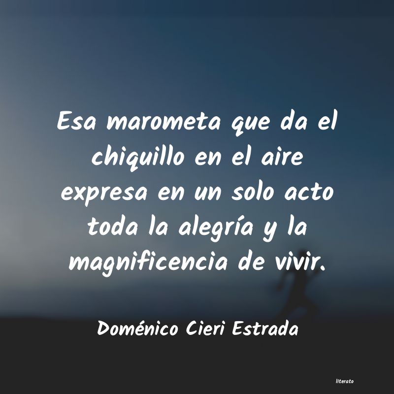 Frases de Doménico Cieri Estrada