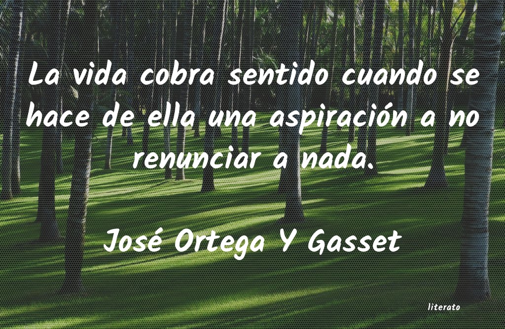 Frases de José Ortega Y Gasset