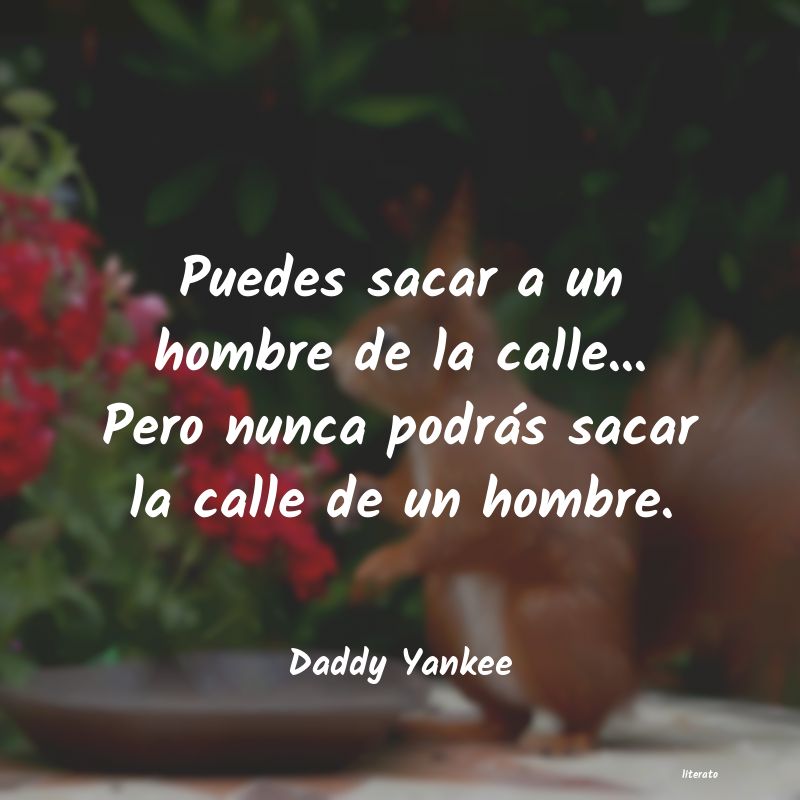 Frases de Daddy Yankee