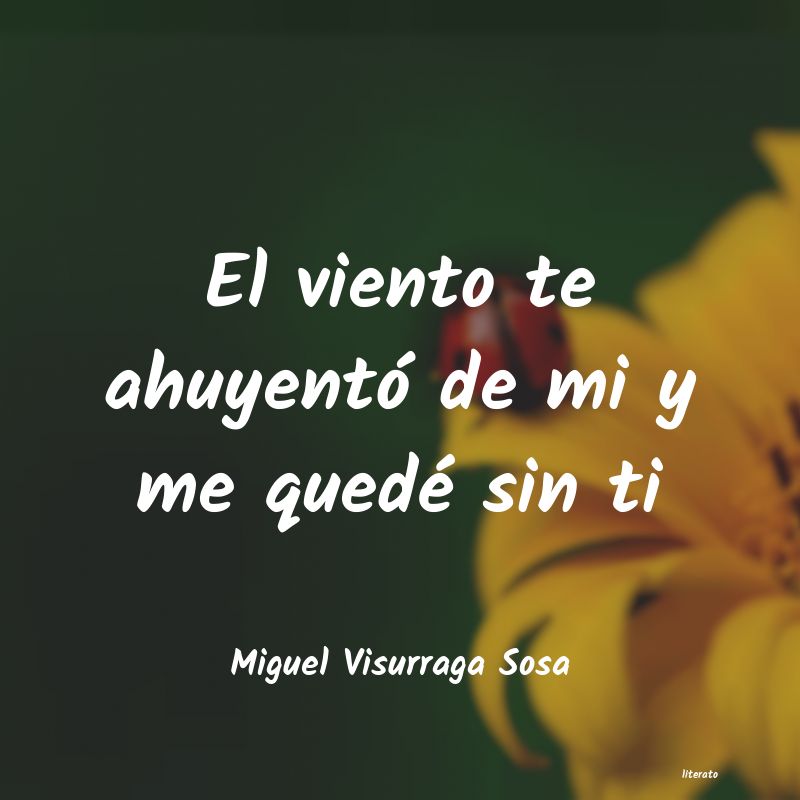frases de Miguel Visurraga Sosa