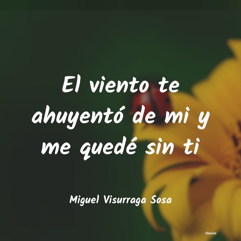 Frases de Miguel Visurraga Sosa