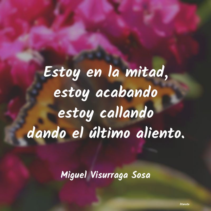 Frases de Miguel Visurraga Sosa