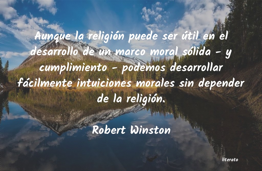 frases de Robert Winston