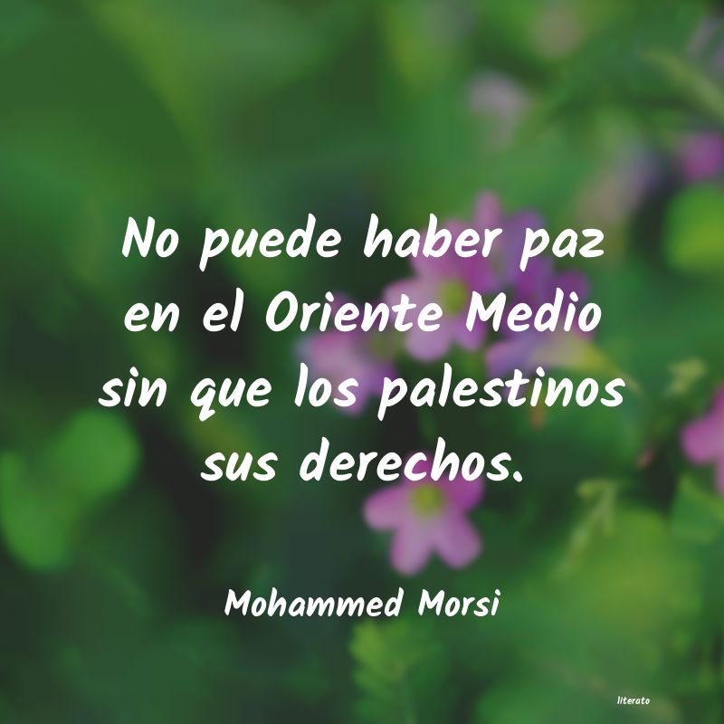 frases de Mohammed Morsi