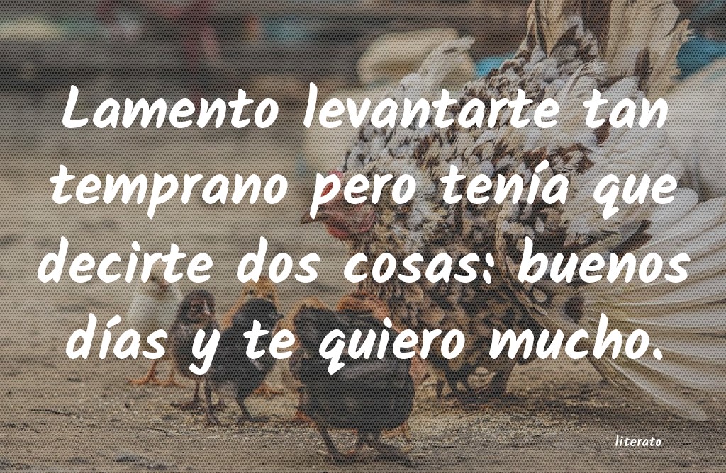 frases