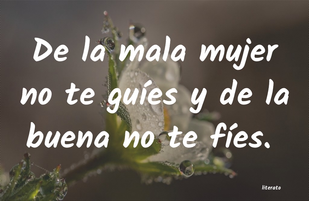 frases
