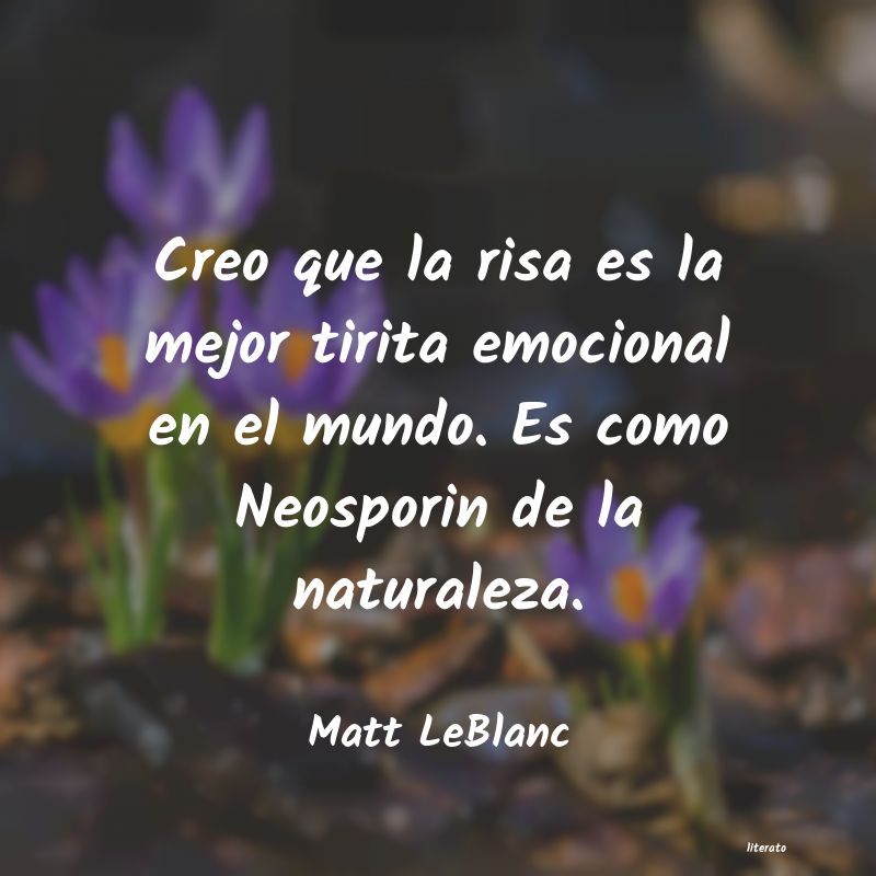 Frases de Matt LeBlanc