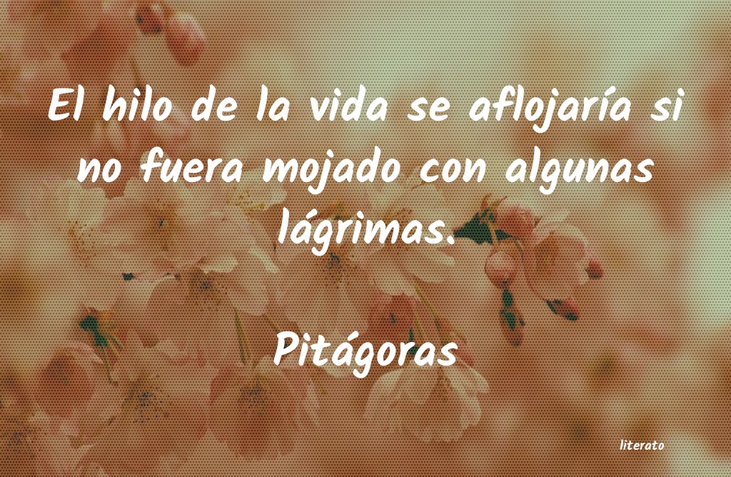 Frases de Pitágoras