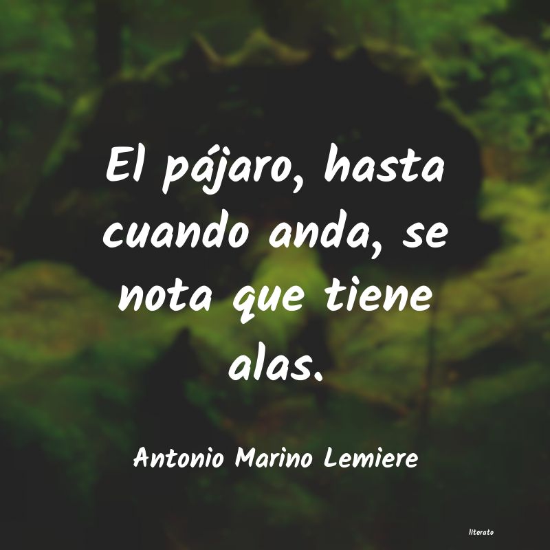 Frases de Antonio Marino Lemiere