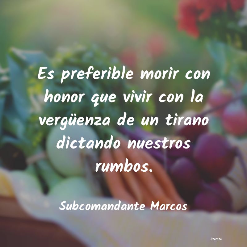 Frases de Subcomandante Marcos