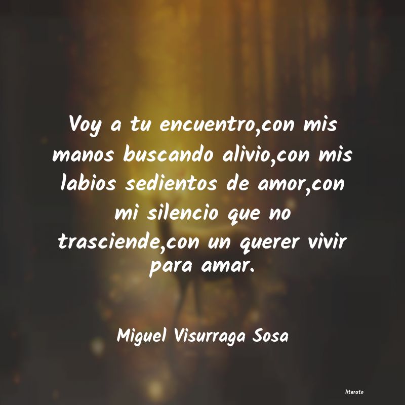 Frases de Miguel Visurraga Sosa