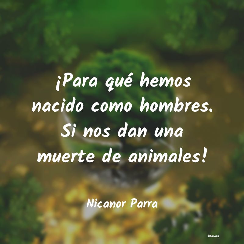 frases de Nicanor Parra