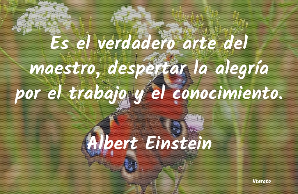 frases de Albert Einstein