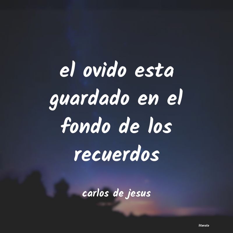 frases de carlos de jesus