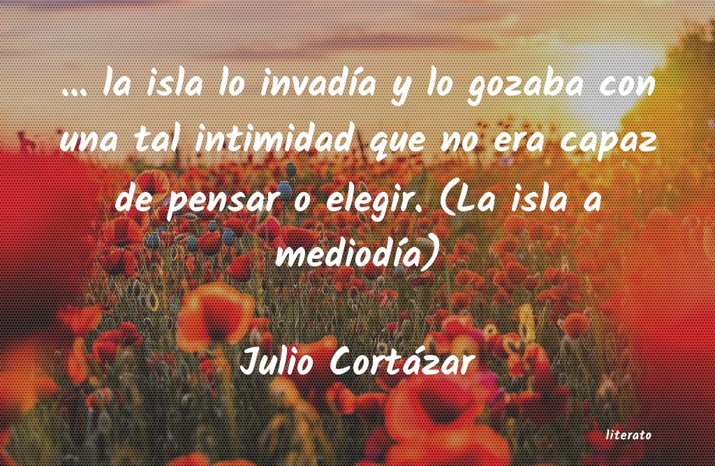 frases de Julio Cortázar