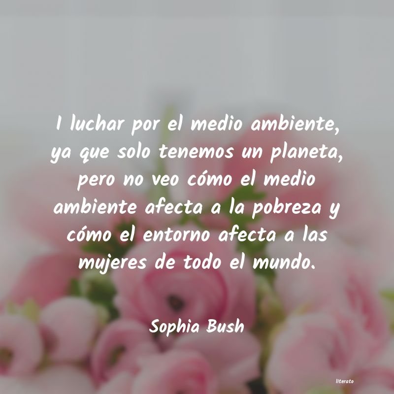 Frases de Sophia Bush