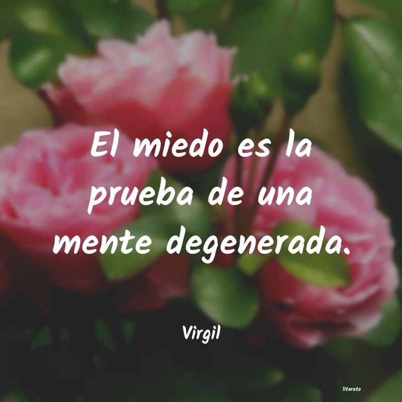 Frases de Virgil