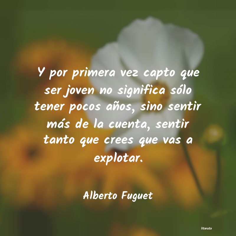 Frases de Alberto Fuguet