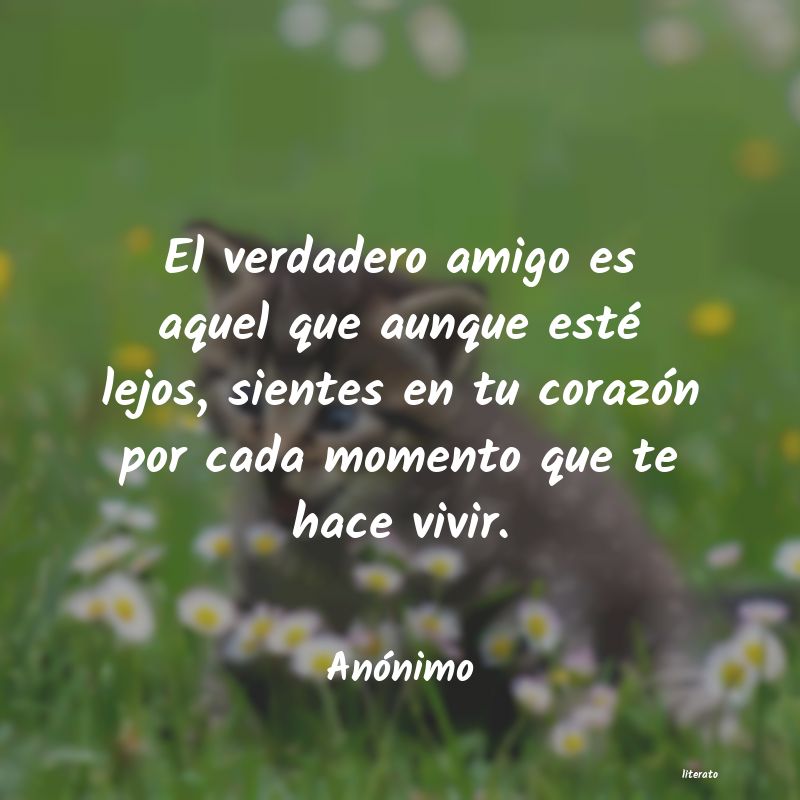 frases