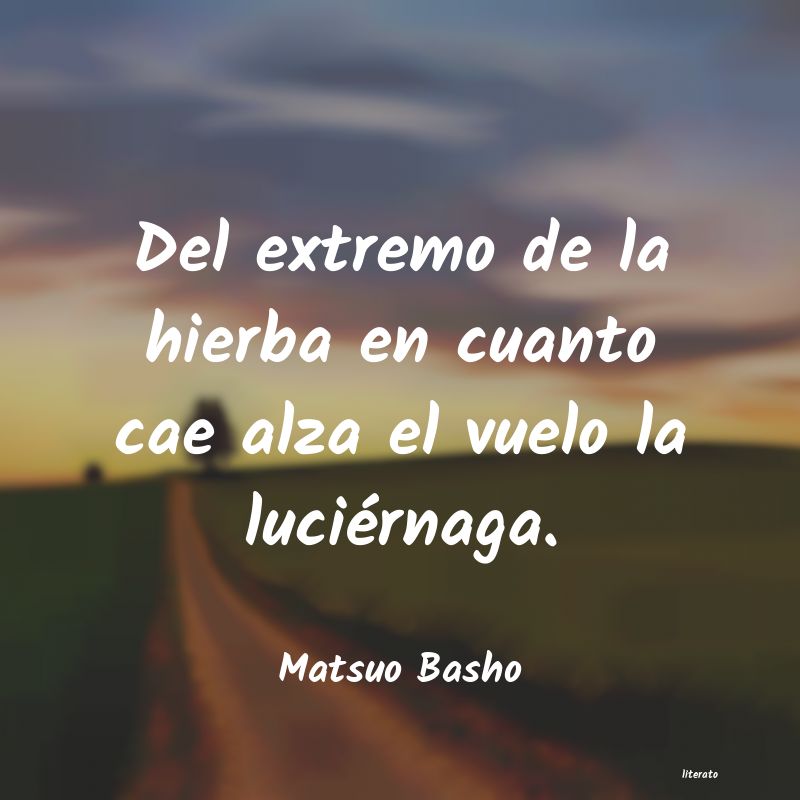 Frases de Matsuo Basho