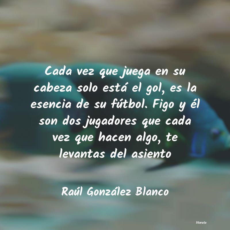 Frases de Raúl González Blanco