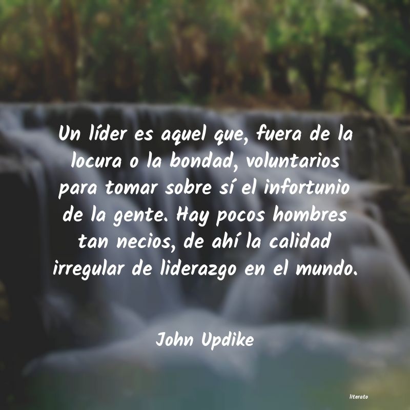frases de John Updike