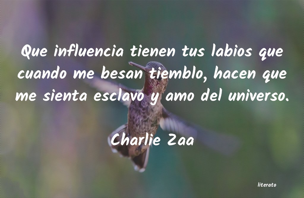 frases de Charlie Zaa