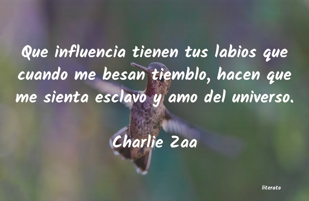 Frases de Charlie Zaa