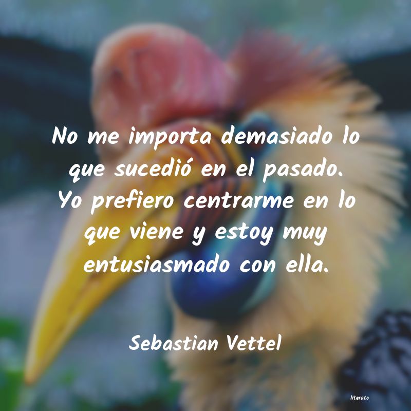 Frases de Sebastian Vettel