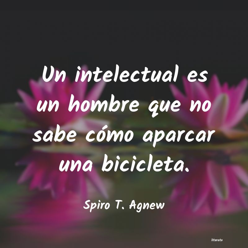 Frases de Spiro T. Agnew