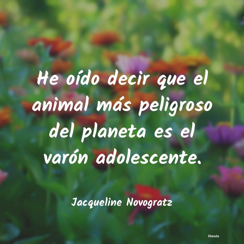 Frases de Jacqueline Novogratz