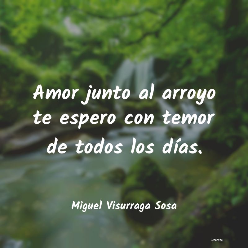 frases de Miguel Visurraga Sosa