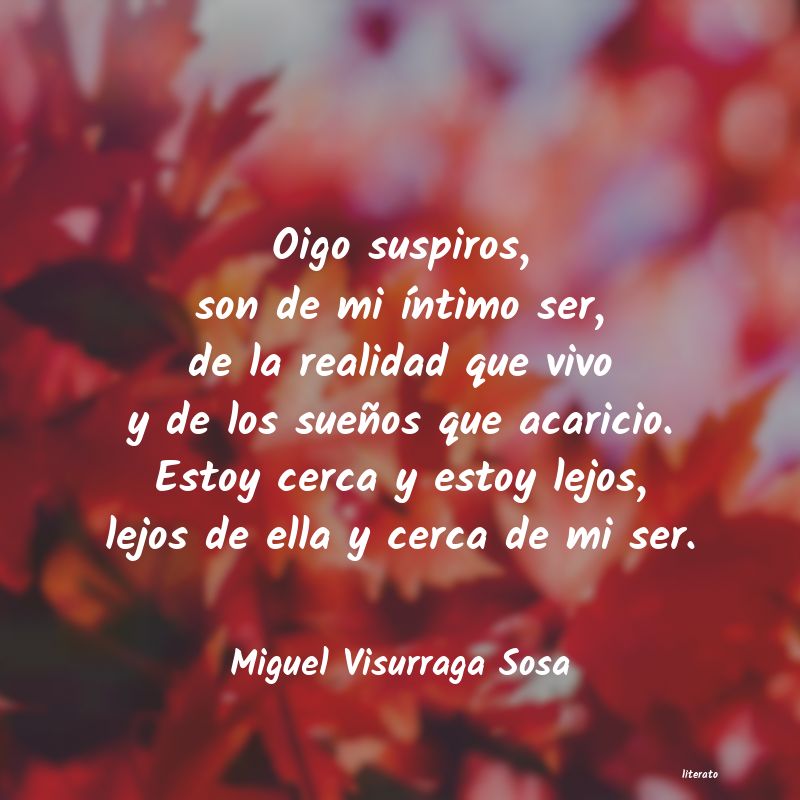 frases de Miguel Visurraga Sosa
