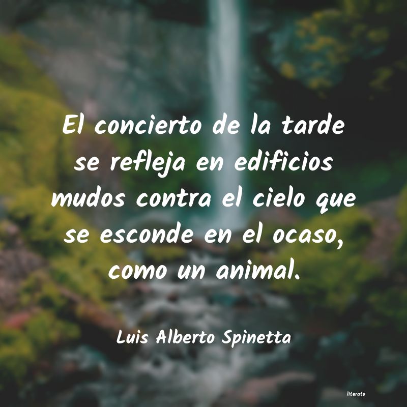 Frases de Luis Alberto Spinetta