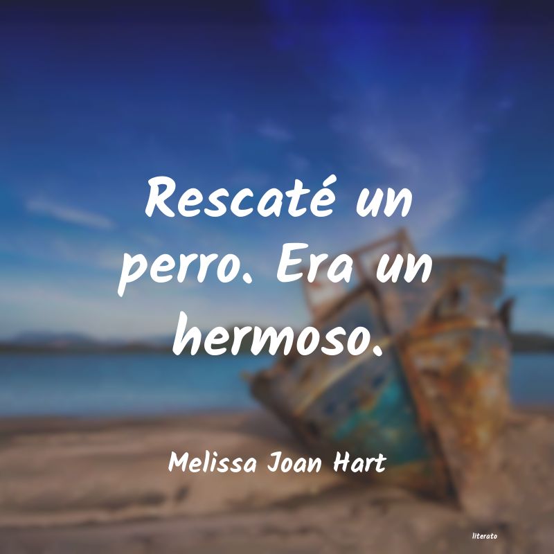 frases de Melissa Joan Hart