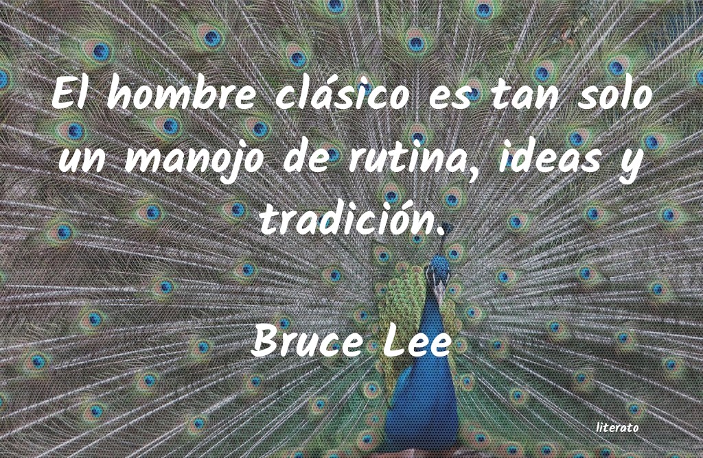 frases de Bruce Lee