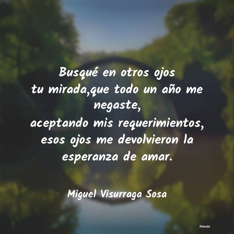 frases de Miguel Visurraga Sosa